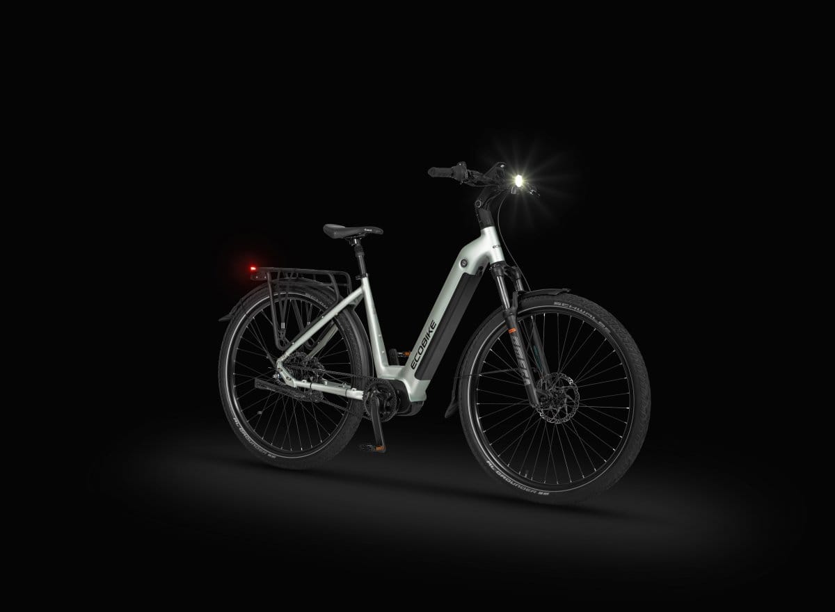 ROWER ELEKTRYCZNY ECOBIKE LX400 ARCTIC SILVER 17 - obrazek 4