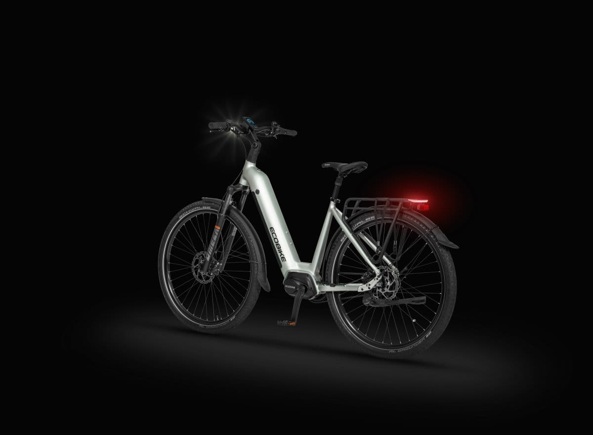 ROWER ELEKTRYCZNY ECOBIKE LX400 ARCTIC SILVER 17 - obrazek 9