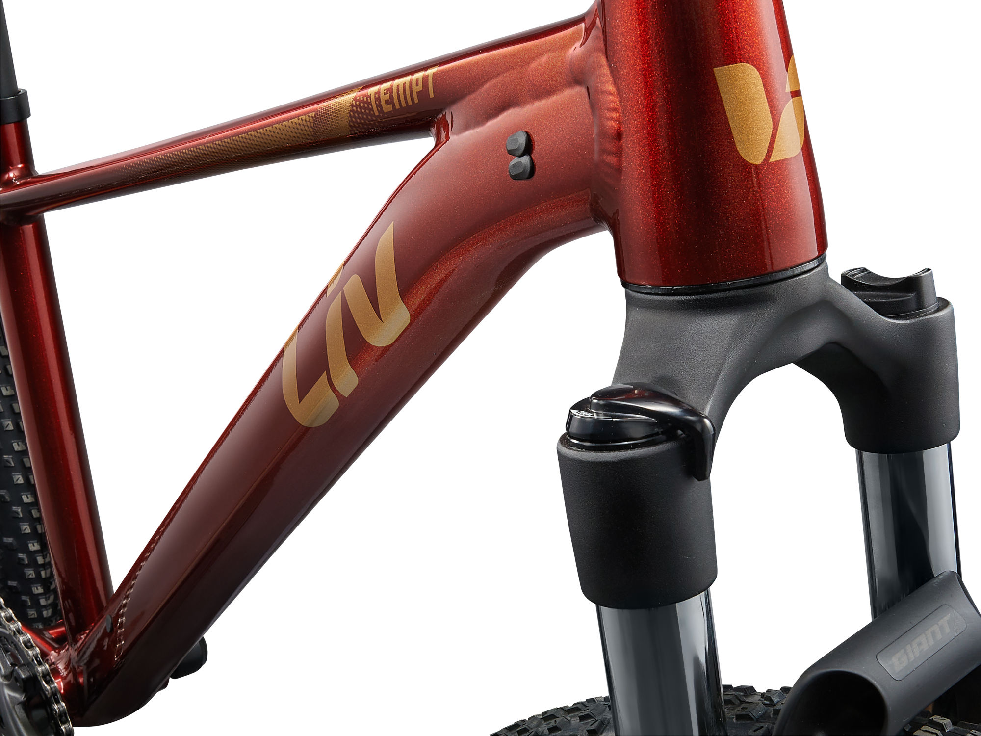 0f715ff15337f1257bef124403d9984c