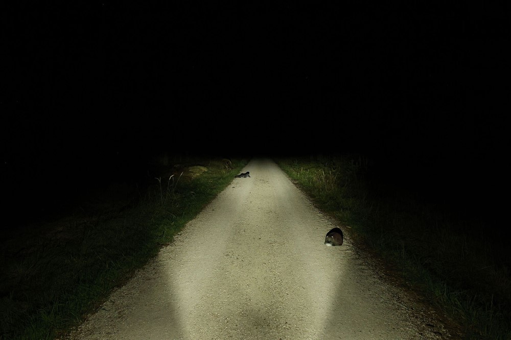 23340bca584f9b40435478169455f080